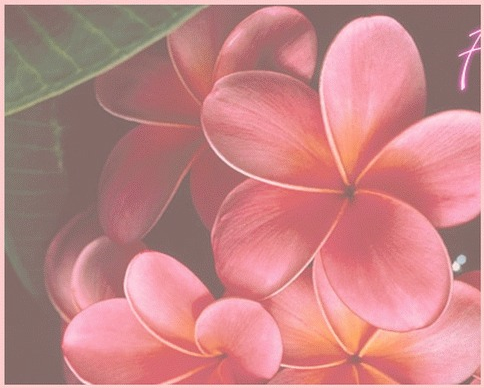 Transparent image on canvas